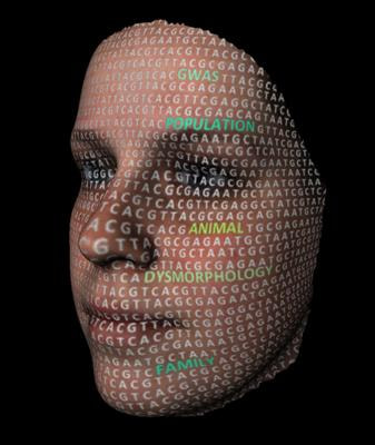 Cover image for research topic "The Genes and Mechanisms Underlying Normal-Range Craniofacial Variation"