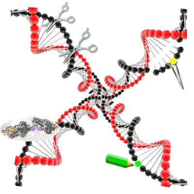 Cover image for research topic "Precise Genome Editing Techniques and Applications"