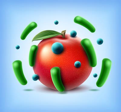 Cover image for research topic "Foodborne Pathogen Inactivation and Antimicrobial Intervention Technologies"