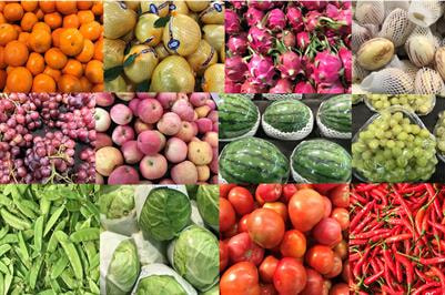 Cover image for research topic "Interplay between Fungal Pathogens and Fruit Ripening"