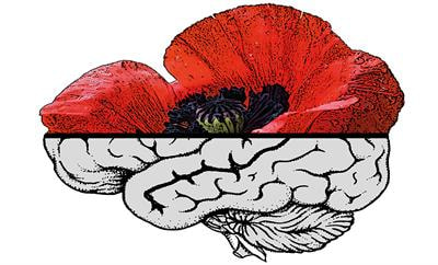 Cover image for research topic "Current Topics in Opioid Research"