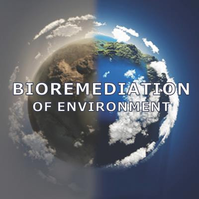 Cover image for research topic "Microorganisms Degrading Organic Pollutants and Their Potential for the Bioremediation of Contaminated Environments"