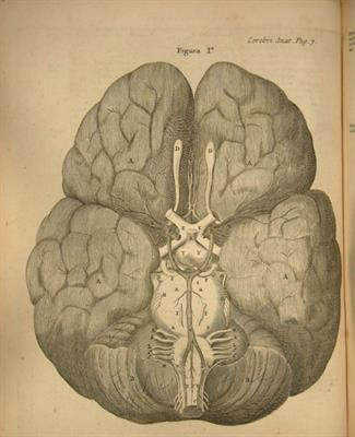 Cover image for research topic "History of Neuroscience"