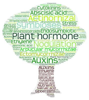 Cover image for research topic "The Role of Plant Hormones in Plant-Microbe Symbioses"