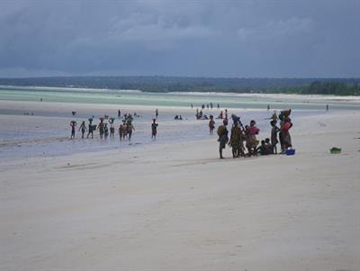 Cover image for research topic "Climate Change and Society"