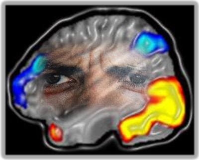 Cover image for research topic "The Impact of Emotion on Cognition – Dissociating between Enhancing and Impairing Effects"