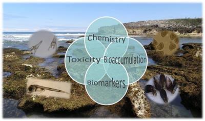 Cover image for research topic "New Challenges in Marine Pollution Monitoring"