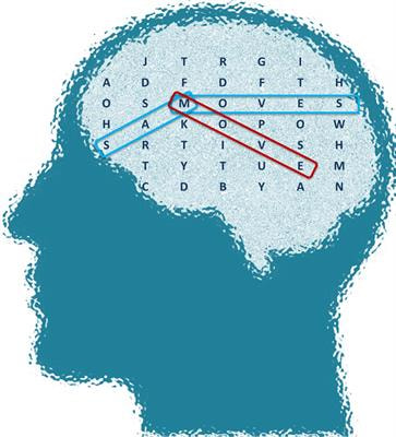 Cover image for research topic "Featural Relations in the Brain: Theoretical and Experimental Perspectives on Grammatical Agreement"