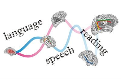 Cover image for research topic "The Neural Signatures of Plasticity in Developmental and Early Acquired Speech, Language and Reading Disorders"
