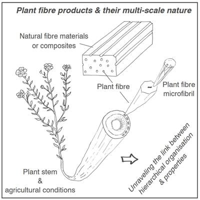 Cover image for research topic "Natural Fiber Products and Their Multi-Scale Nature: State-of-the-Art and Perspectives"