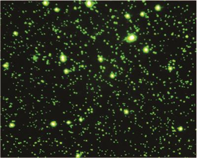 Cover image for research topic "The Diversity and Ecology of Aquatic Viruses from Headwaters to the Hadal"