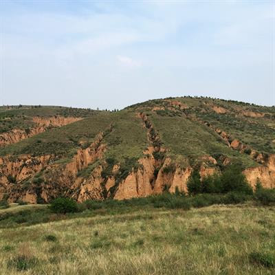 Cover image for research topic "Adaptation of Dryland Plants to a Changing Environment"