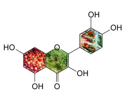 Cover image for research topic "Bioactive Compounds Biosynthesis and Metabolism in Fruit and Vegetables"