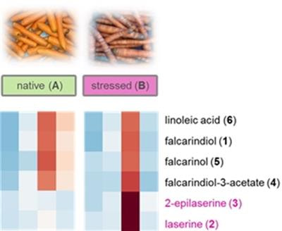 Cover image for research topic "The Flavor of Stress – Aroma and Taste Alterations of Crops Induced by Biotic and Abiotic Stress Challenges"