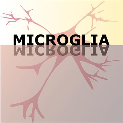 Cover image for research topic "Dual role of Microglia in Health and Disease: Pushing the Balance Towards Repair"