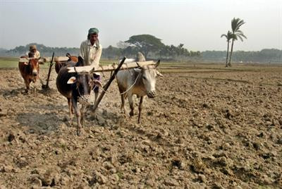 Cover image for research topic "The Governance and Politics of Climate-Smart Agriculture"
