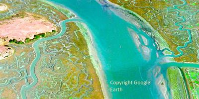 Cover image for research topic "Ecohydraulics and Morphodynamics of Water Systems"