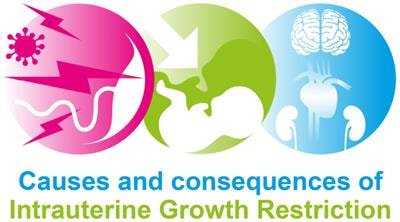 Cover image for research topic "Causes and Consequences of Intrauterine Growth Restriction"
