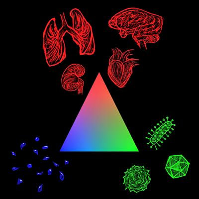 Cover image for research topic "Cytokine-Mediated Organ Dysfunction and Tissue Damage Induced by Viruses"