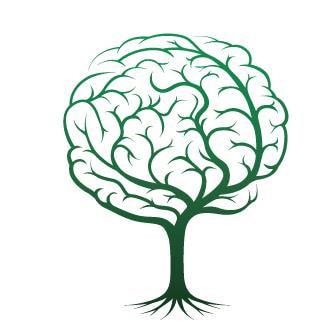 Cover image for research topic "Human-Nature Interactions: Perspectives on Conceptual and Methodological Issues"