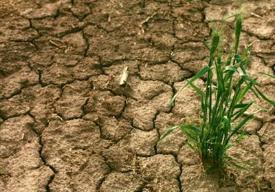 Cover image for research topic "The Feasibility of Large-Scale Action for Adaptation and Mitigation"