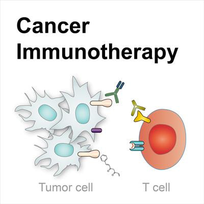 Cover image for research topic "Targeting the PD-1/PD-L1 Cancer Immune Evasion Axis: Challenges and Emerging Strategies, Volume I"