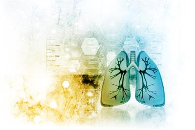 Cover image for research topic "Transport Phenomena in Human Lungs: A Mechanical Perspective"