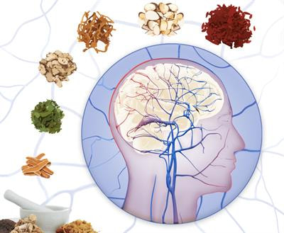 Cover image for research topic "Assessing the Pharmacological Effects and Therapeutic Efficacy of Traditional Chinese Medicine in Neurological Disease Models"