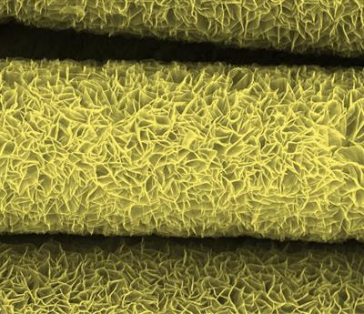 Cover image for research topic "Key Electrochemical Energy Reactions Catalyzed by Nanomaterials "