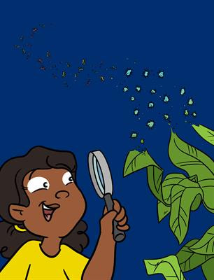 Cover image for research topic "Diversity of the Microbial World"
