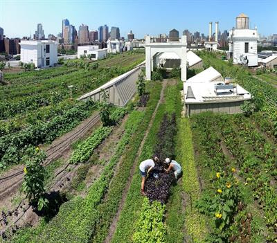 Cover image for research topic "The Urban Microbiome: Uncovering the Hidden Footprint of Cities
"