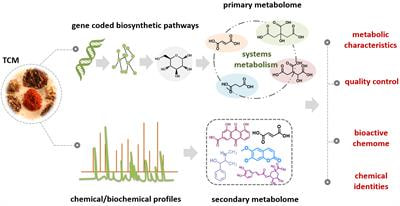 Cover image for research topic "Metabolomics and Metabolism of Traditional Chinese Medicine"