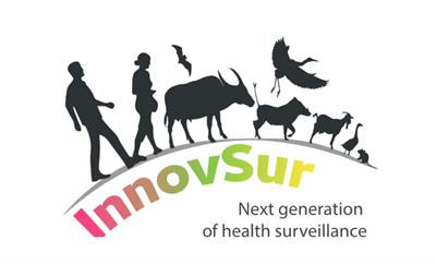 Cover image for research topic "Proceedings of InnovSur: “Innovation in Health Surveillance” International Forum"