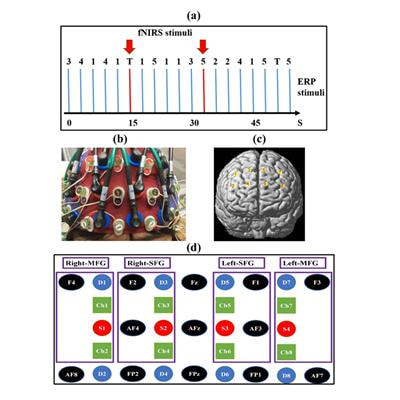 Cover image for research topic "Techniques Advances and Clinical Applications in Fused EEG-fNIRS"