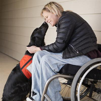 Cover image for research topic "Assistance Dogs for People with Disabilities"
