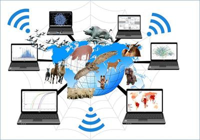 Cover image for research topic "Developments in Animal Health Surveillance"