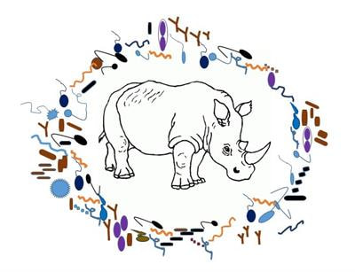 Cover image for research topic "Ecological and Evolutionary Aspects of Complex Relations between Micro- and Macroparasites and their Wild Animal Hosts"