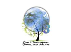 Cover image for research topic "Interactions between Ozone Pollution and Forest Ecosystems"