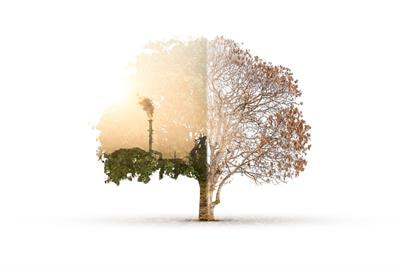 Cover image for research topic "Physiological Acclimation to Global Change"