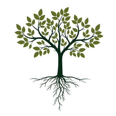 Cover image for research topic "Carbon Transport and Dynamics in Trees"
