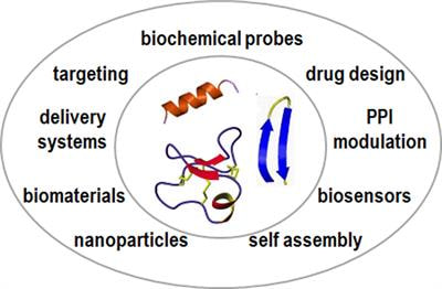 Cover image for research topic "Folded Synthetic Peptides for Biomedical Applications    "