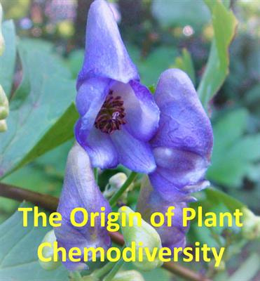 Cover image for research topic "The Origin of Plant Chemodiversity - Conceptual and Empirical Insights"