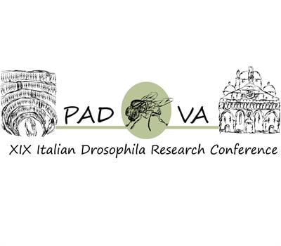 Cover image for research topic "Drosophila: A Versatile Model for Molecular, Physiological and Behavioral Studies"