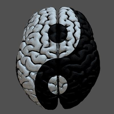 Cover image for research topic "Local Aspects of Sleep and Wakefulness"