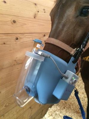 Cover image for research topic "Equine Asthma: Current Understanding and Future Directions"
