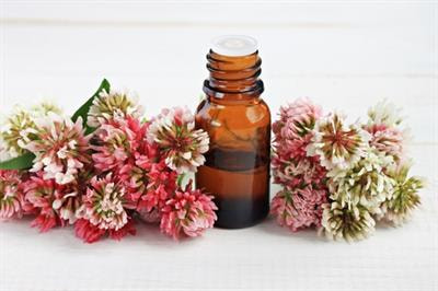 Cover image for research topic "Cosmeceuticals from Medicinal Plants"