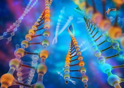 Cover image for research topic "Small Interfering RNAs, Nuclear Oligonucleotides and Oligonucleotide-Based Therapies"