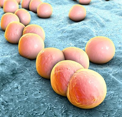 Cover image for research topic "Decoding the Streptococcal Language"