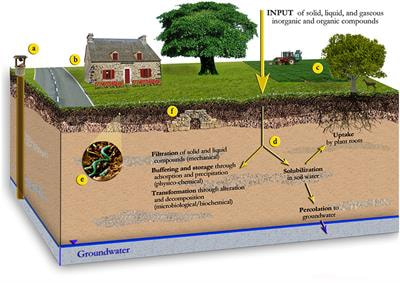 Cover image for research topic "Assessment and Modeling of Soil Functions or Soil-Based Ecosystem Services: Theory and Applications to Practical Problems"