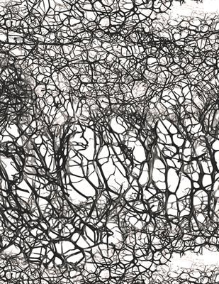Cover image for research topic "Fundamentals of 21st Century Neuroscience"